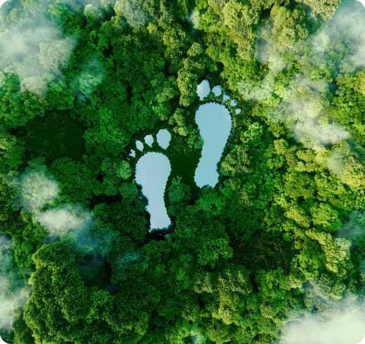 imgi 17 Sustainable suppliers