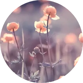 imgi 9 benefit death in service